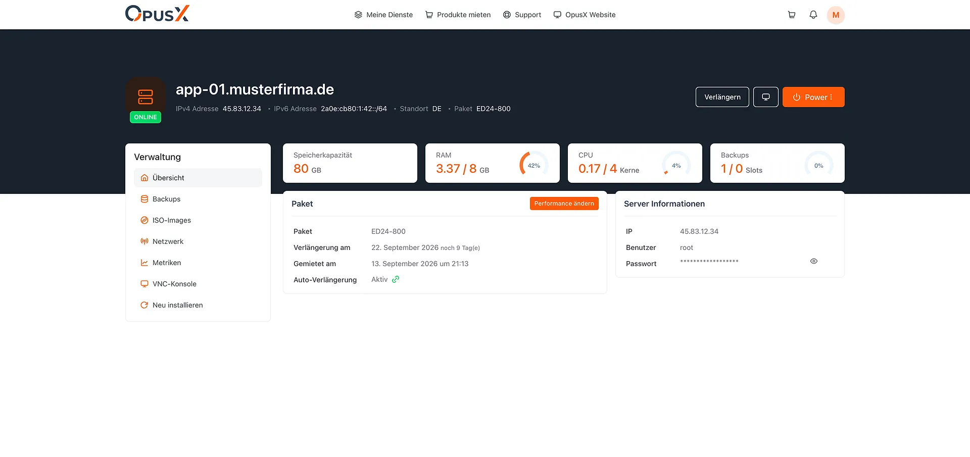 Ihr Server im Überblick